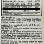 apetimax_syrup_for_kids_-_great_orange_flavor_-_4_fl_oz_2.png